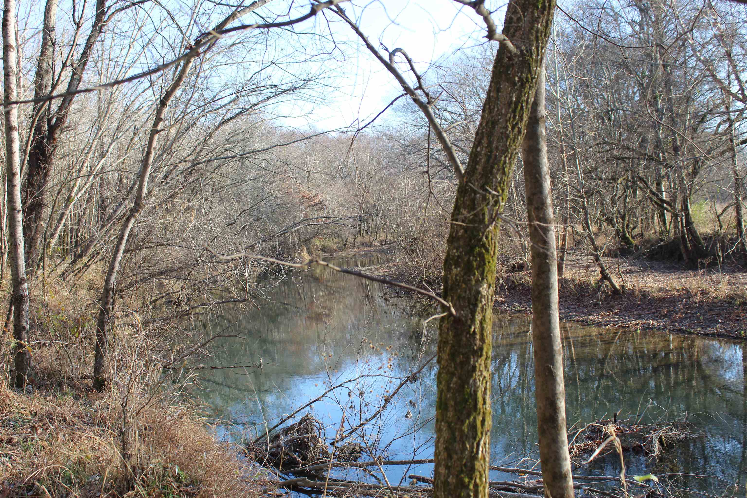 1275 Nance Bend Road Clifton, TN 38425 - Photo 36 of 39 a backyard of a house with lots of green space