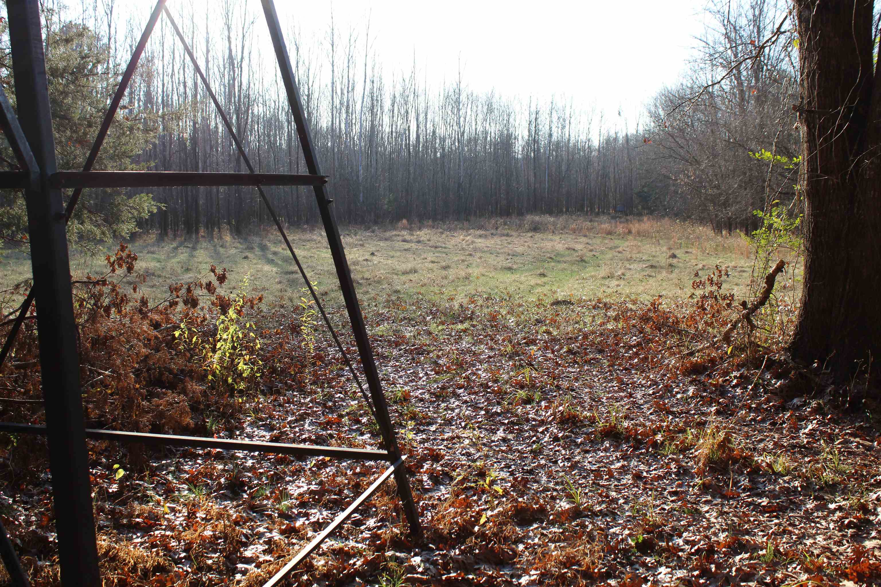 1275 Nance Bend Road Clifton, TN 38425 - Photo 38 of 39