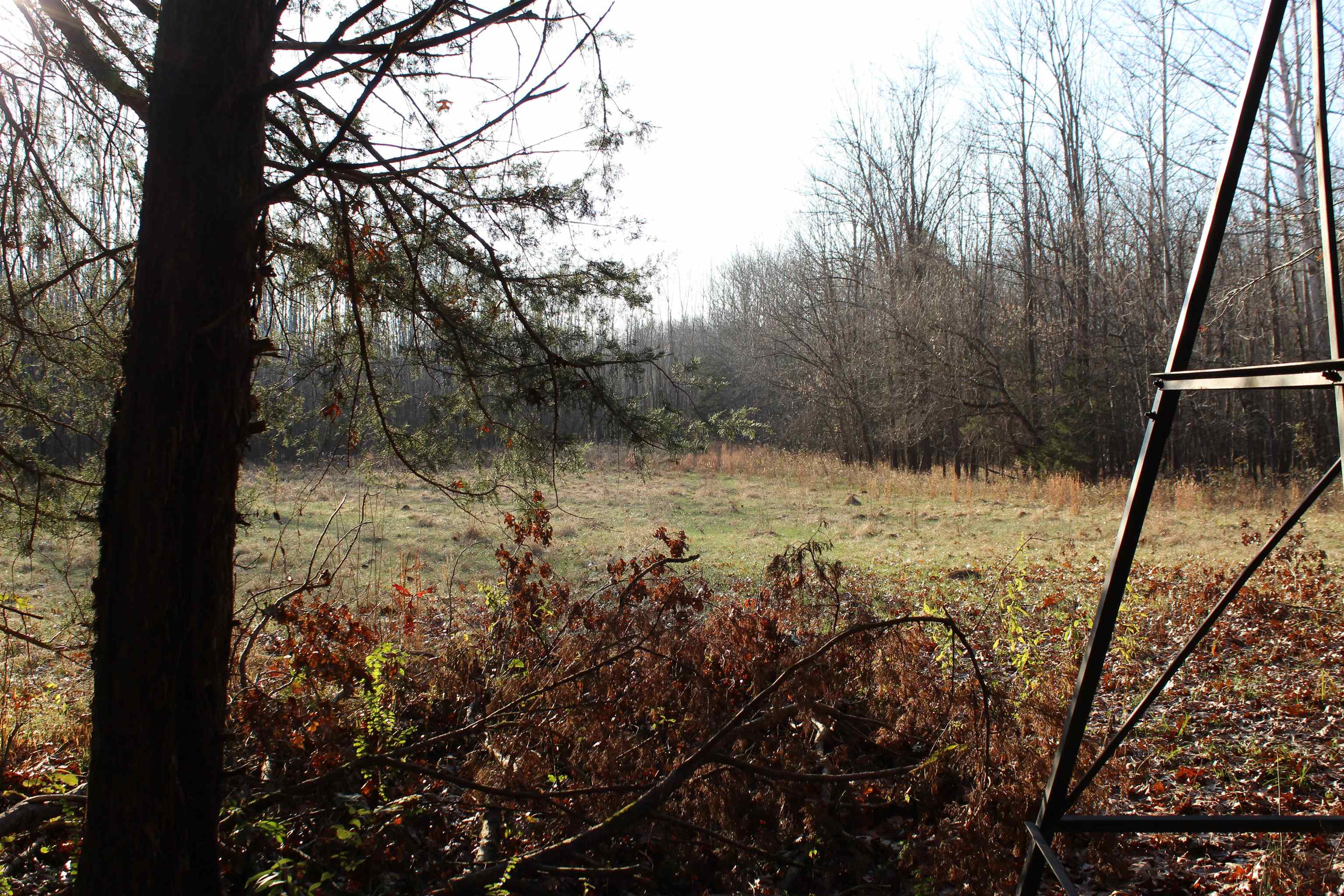 1275 Nance Bend Road Clifton, TN 38425 - Photo 39 of 39 a view of snow on the wall