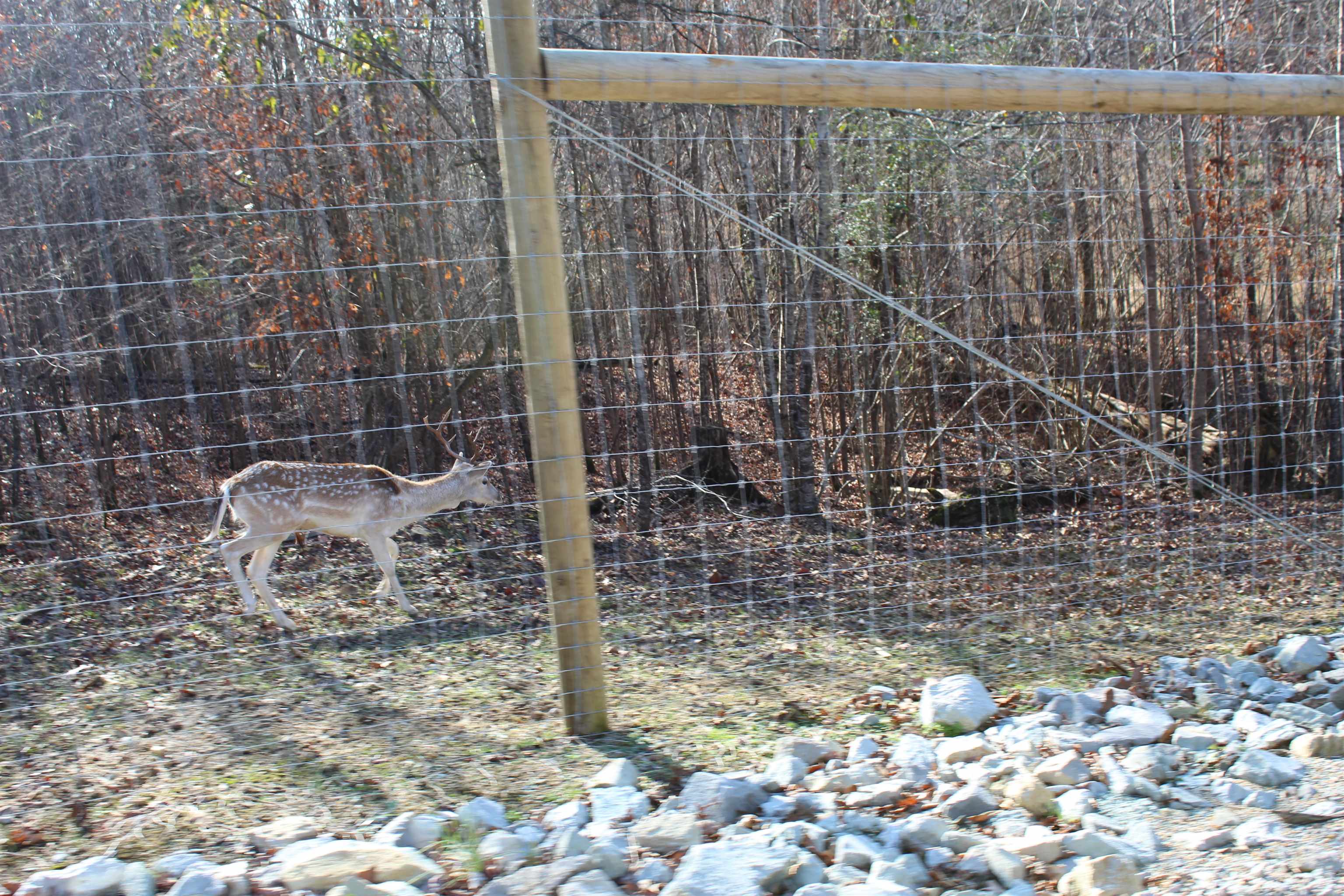 1275 Nance Bend Road Clifton, TN 38425 - Photo 4 of 39 a bathroom with a shower