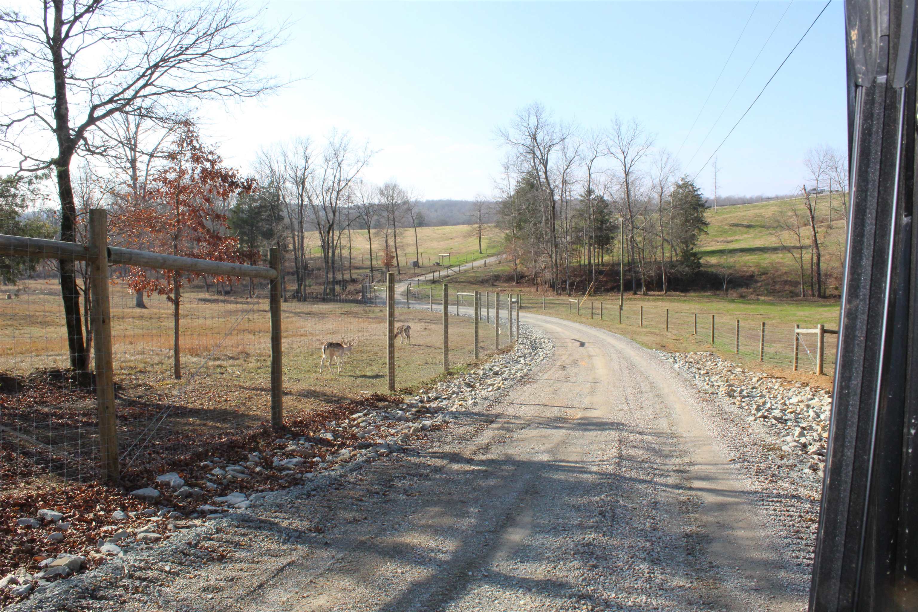 1275 Nance Bend Road Clifton, TN 38425 - Photo 5 of 39 a view of a backyard