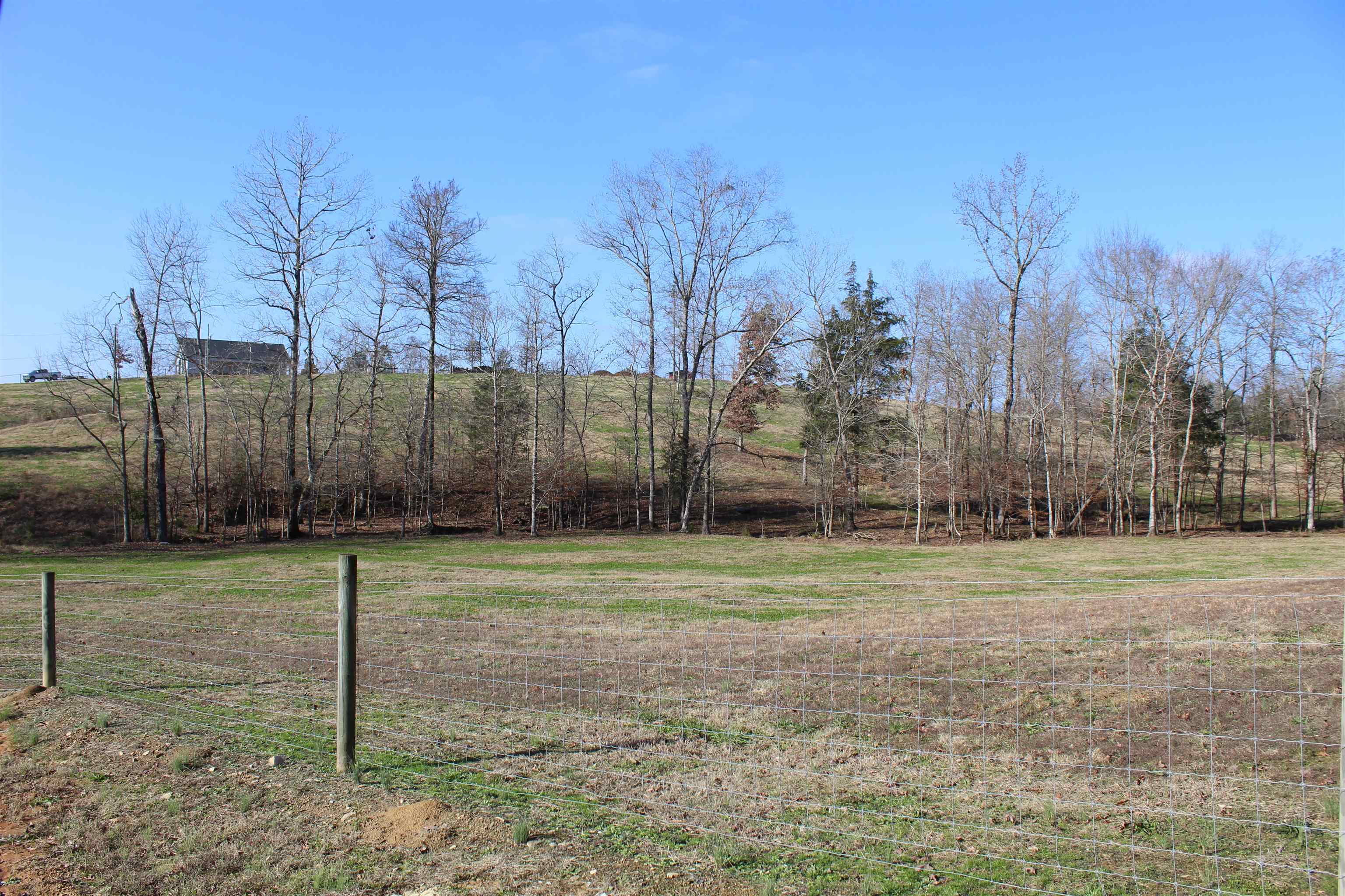 1275 Nance Bend Road Clifton, TN 38425 - Photo 6 of 39 a view of a park