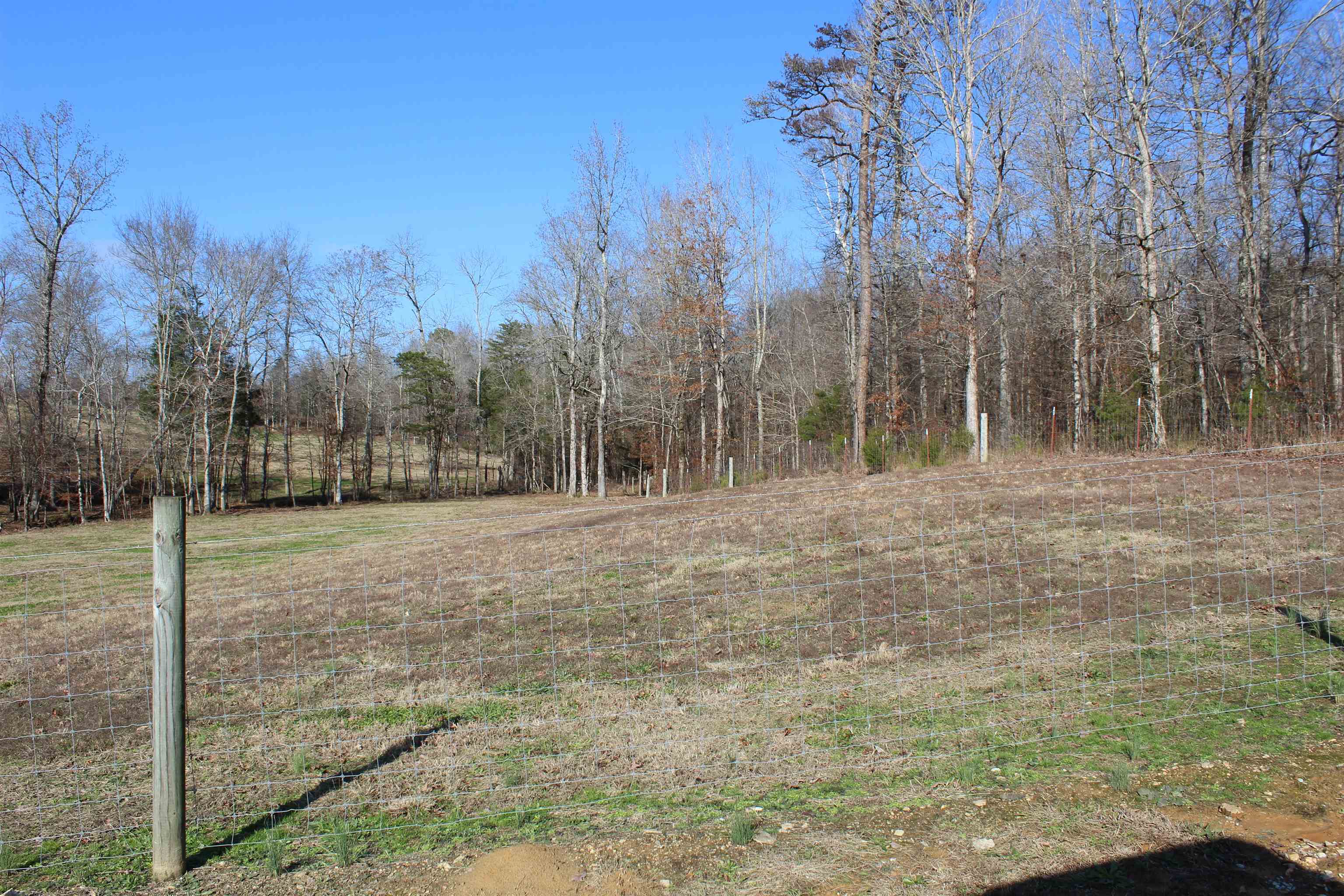 1275 Nance Bend Road Clifton, TN 38425 - Photo 7 of 39 a view of a backyard