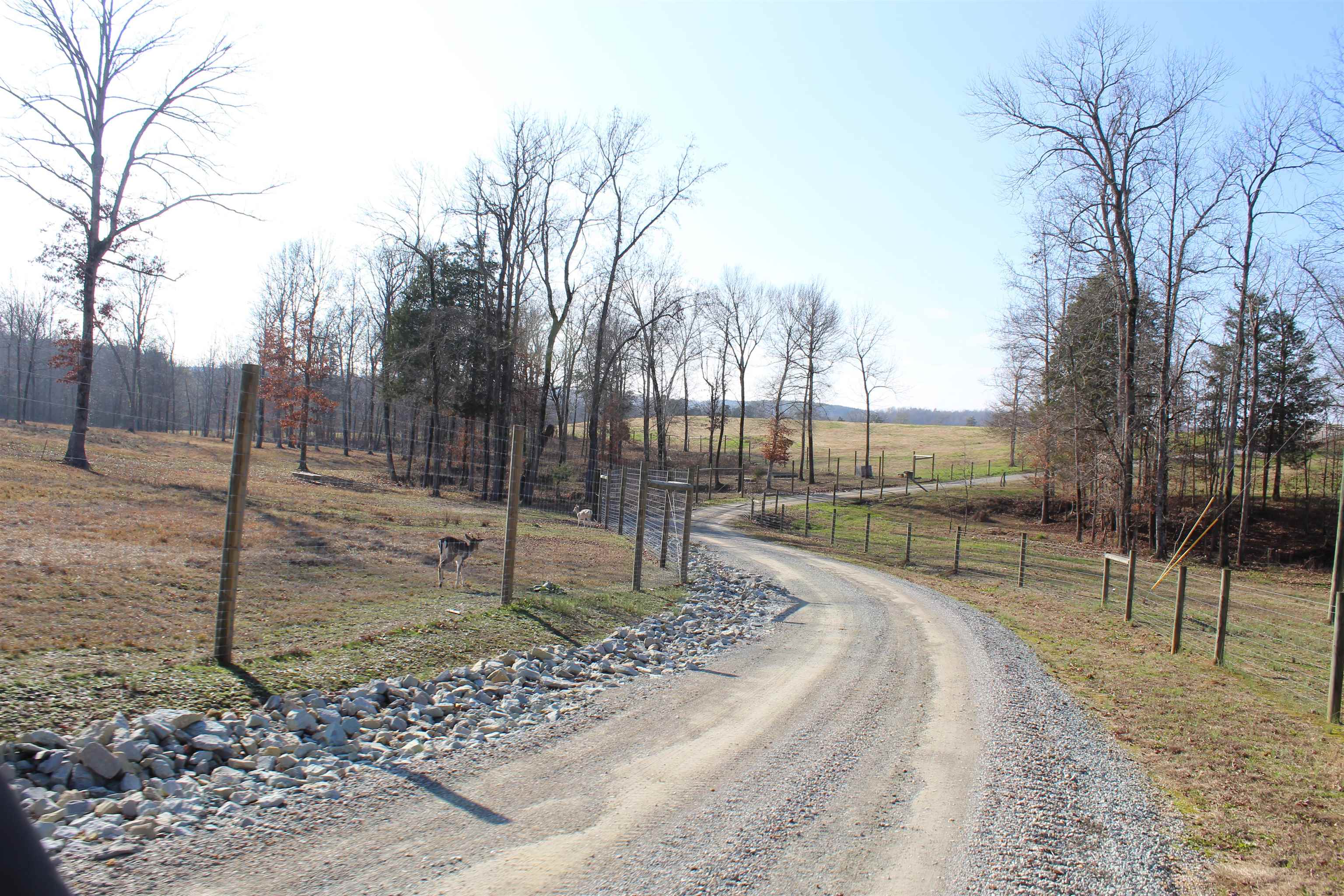1275 Nance Bend Road Clifton, TN 38425 - Photo 9 of 39 a view of a park with pathway