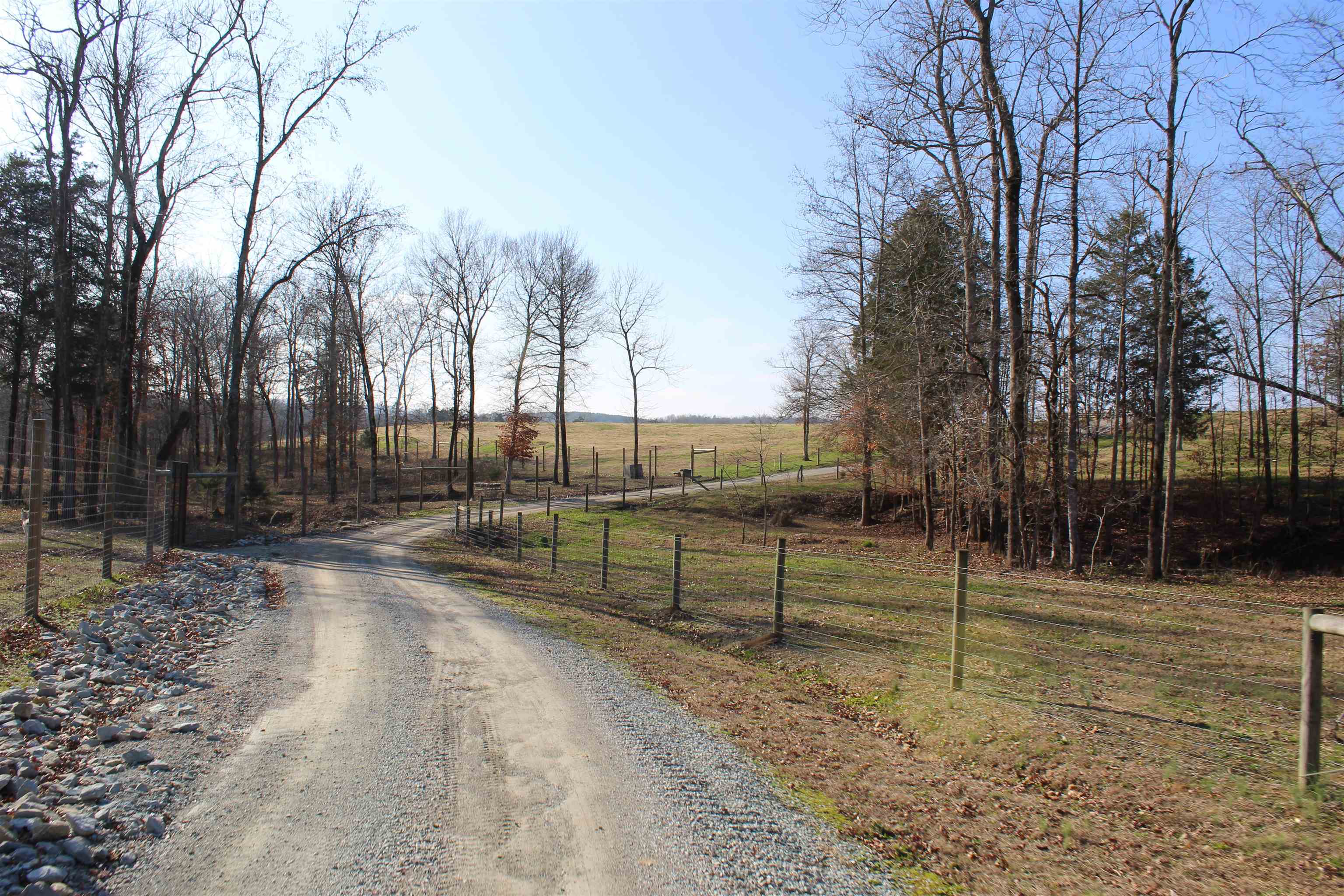 1275 Nance Bend Road Clifton, TN 38425 - Photo 10 of 39 a view of a park with trees