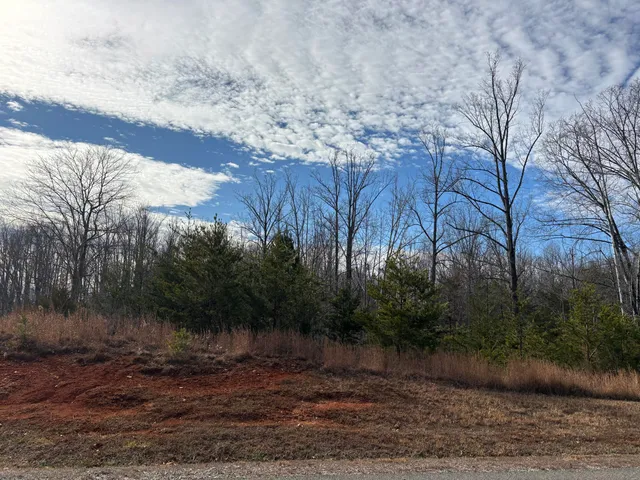 $55,000 | Lot 21 Jfk Blvd Union, Union Hall, VA 24176