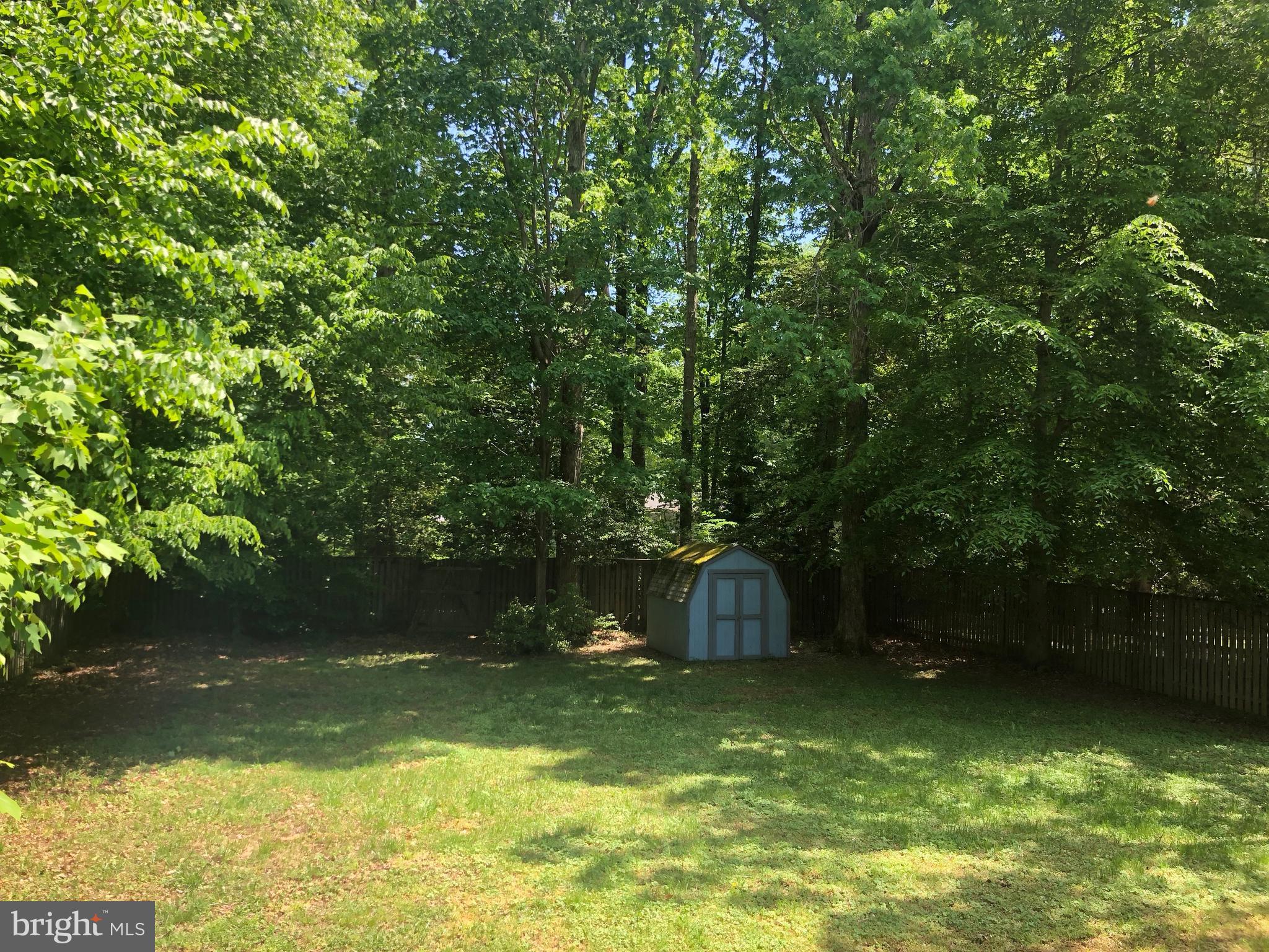 11234 Commanche Road Lusby, MD 20657 - Photo 21 of 21 a view of a trees in a yard