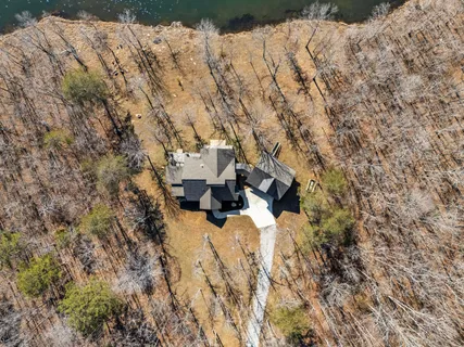 a view of a yard with trees
