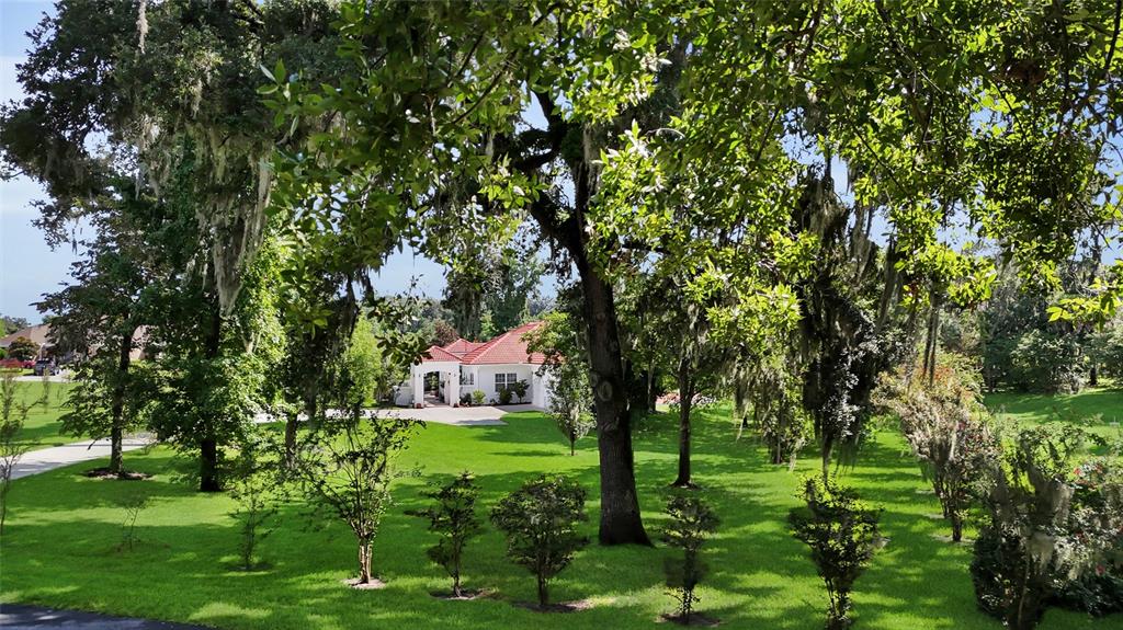 3520 Southwest 24th Avenue Road Ocala, FL 34471 - Photo 14 of 70 Gallery Image 14