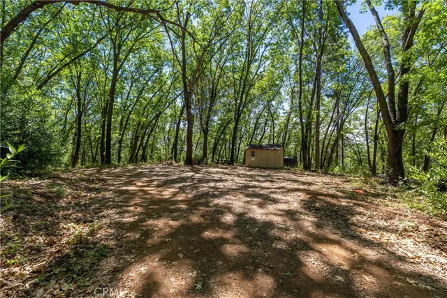 a view of outdoor space with trees