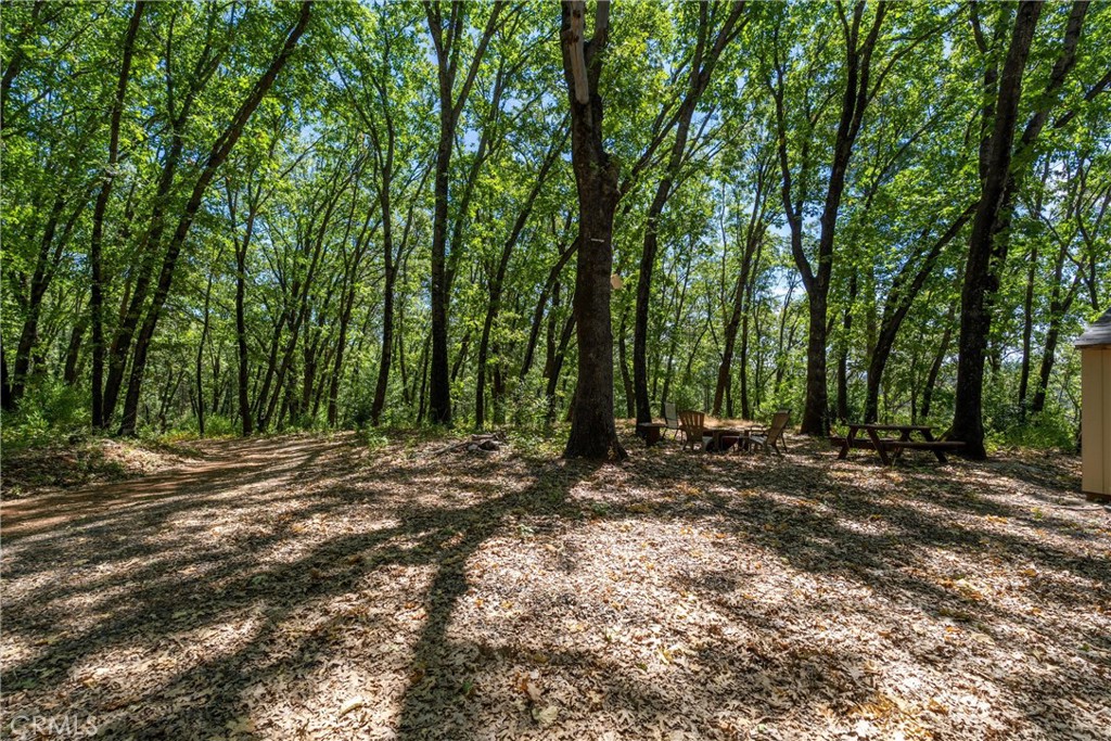 0 Knolls Drive Forest Ranch, CA 95942 - Photo 13 of 68 a view of a forest with trees in the background