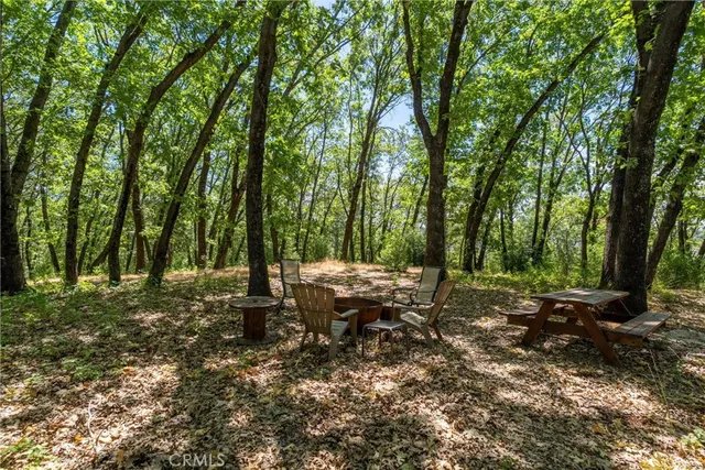 a view of outdoor space with trees