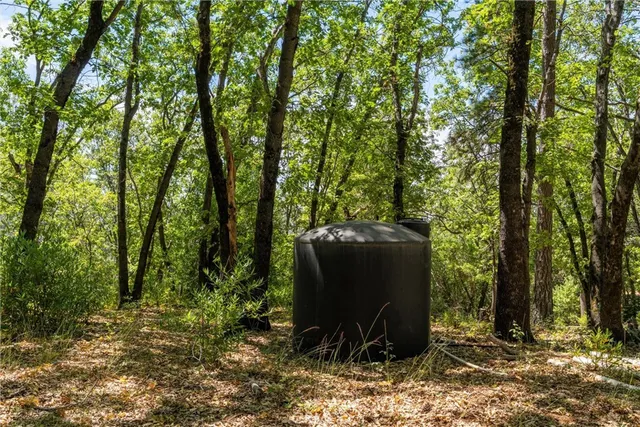 a view of a yard with plants and trees