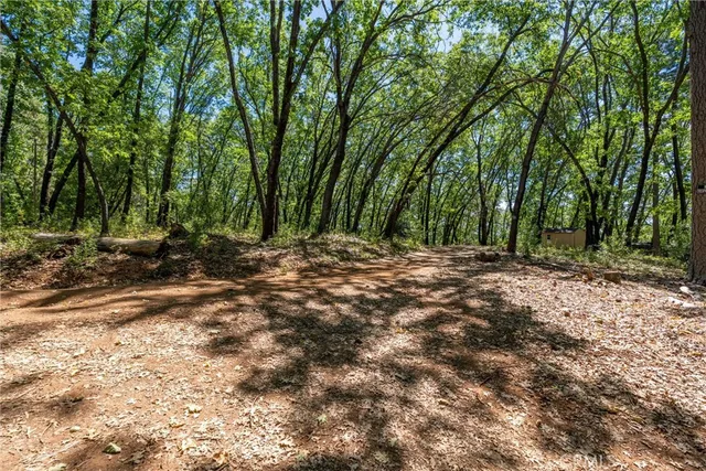a view of a outdoor space with trees