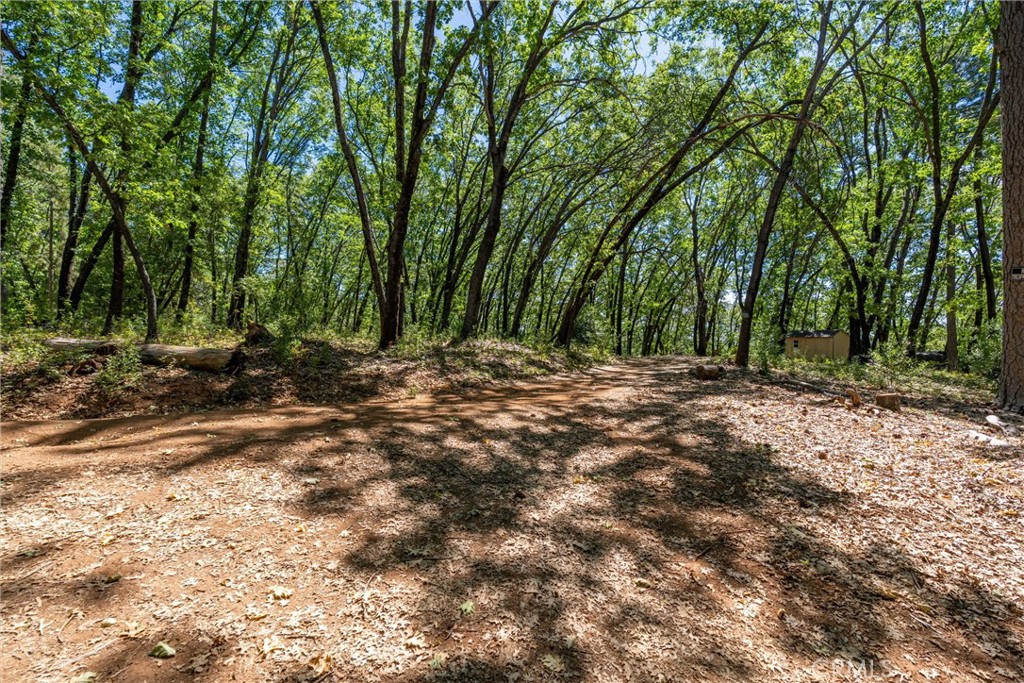 0 Knolls Drive Forest Ranch, CA 95942 - Photo 19 of 68 a view of outdoor space with trees
