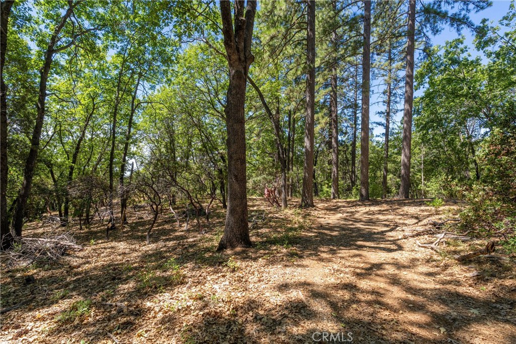 0 Knolls Drive Forest Ranch, CA 95942 - Photo 20 of 68