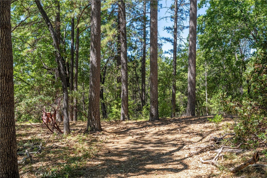 0 Knolls Drive Forest Ranch, CA 95942 - Photo 21 of 68 a view of outdoor space and tall trees