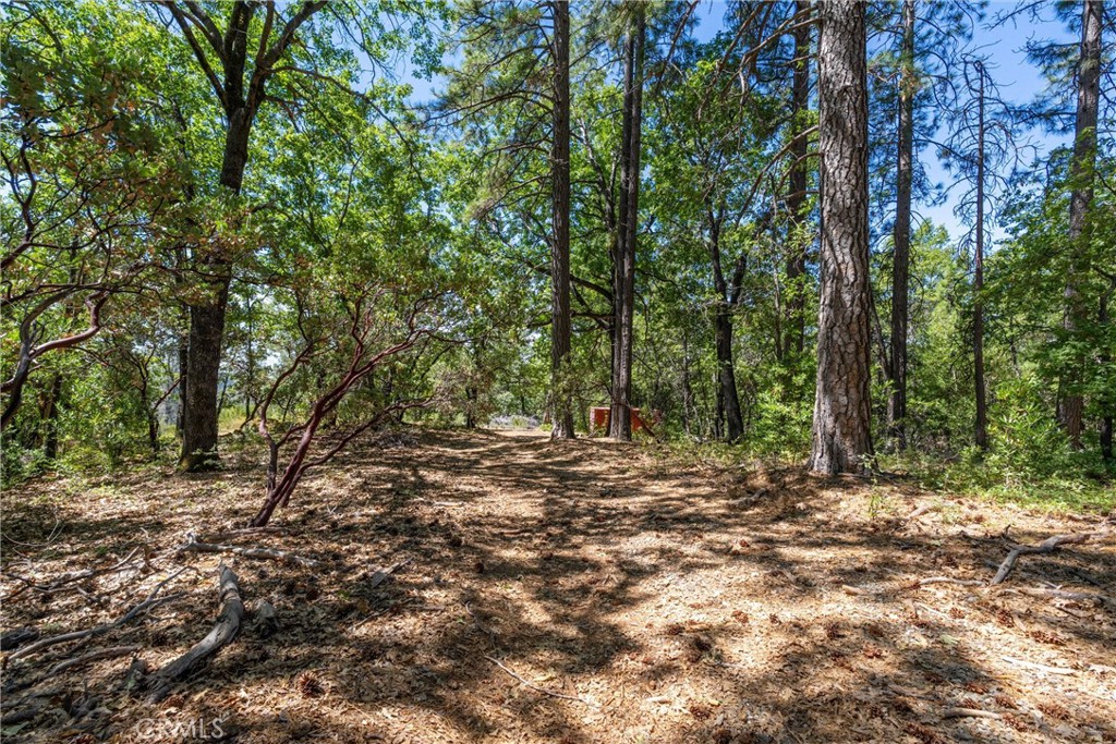 0 Knolls Drive Forest Ranch, CA 95942 - Photo 22 of 68 a view of a forest with trees in the background