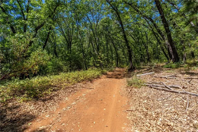 a view of a yard with trees