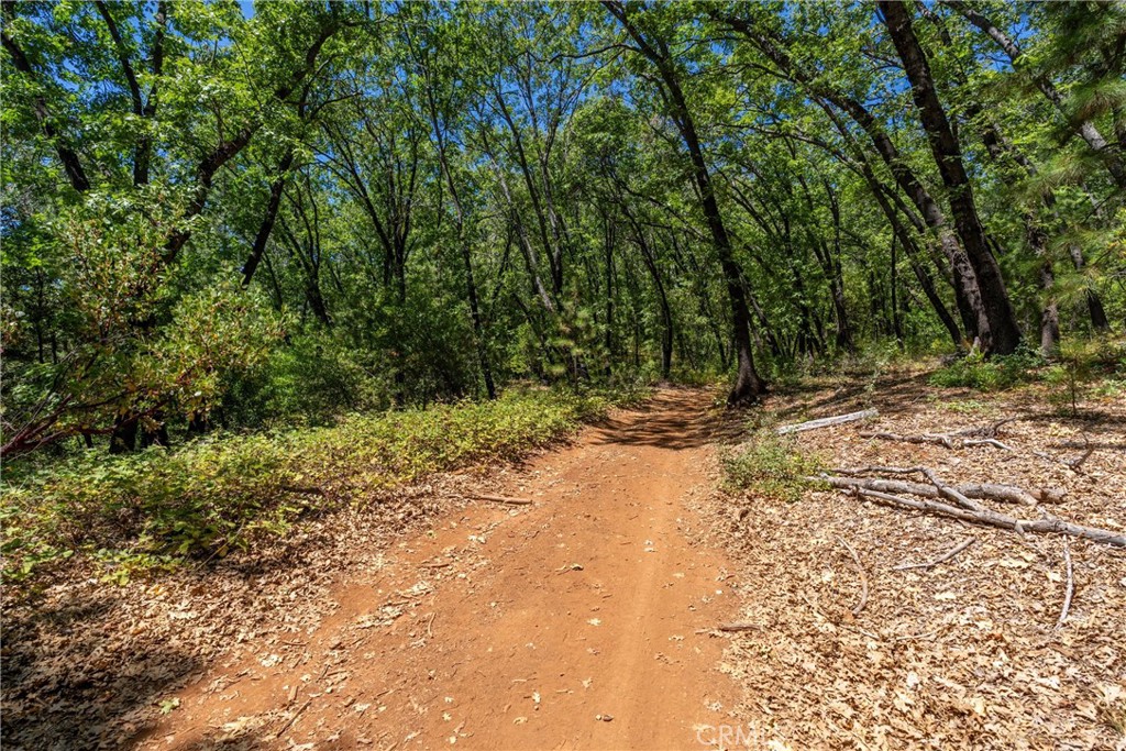 0 Knolls Drive Forest Ranch, CA 95942 - Photo 23 of 68 a view of a yard with plants and trees