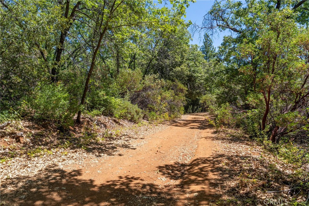 0 Knolls Drive Forest Ranch, CA 95942 - Photo 24 of 68 a view of a dirt road with trees in the background