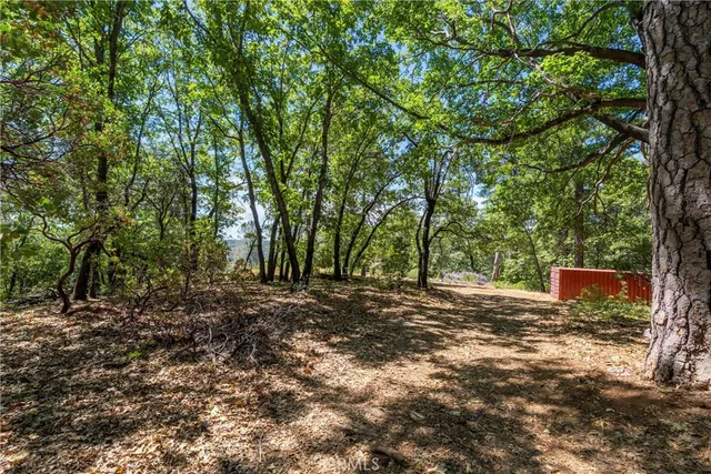 a view of outdoor space and yard