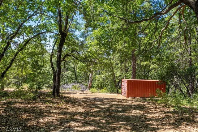 a view of outdoor space and trees