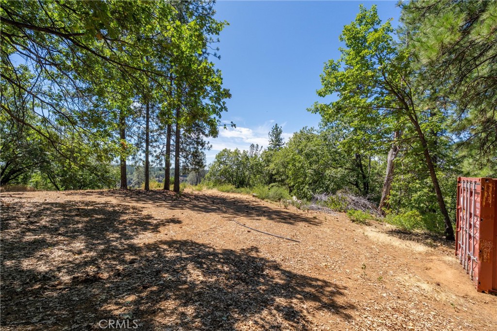 0 Knolls Drive Forest Ranch, CA 95942 - Photo 28 of 68 a view of a tree in the middle of a yard