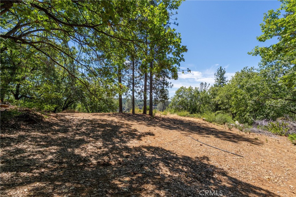 0 Knolls Drive Forest Ranch, CA 95942 - Photo 29 of 68 a view of a yard with plants and large trees