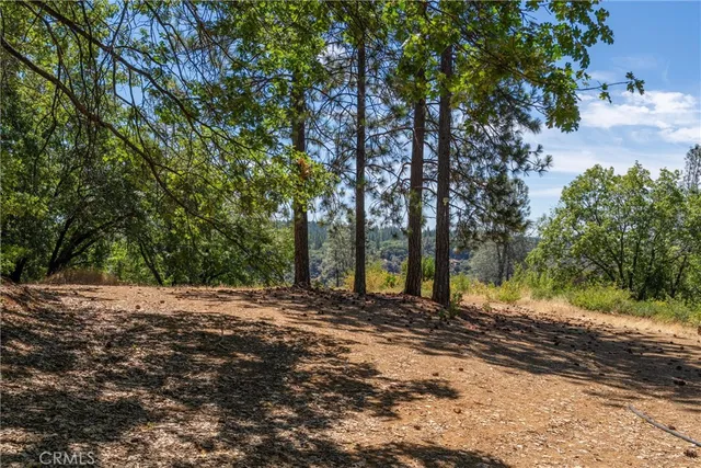 a view of a yard with a tree