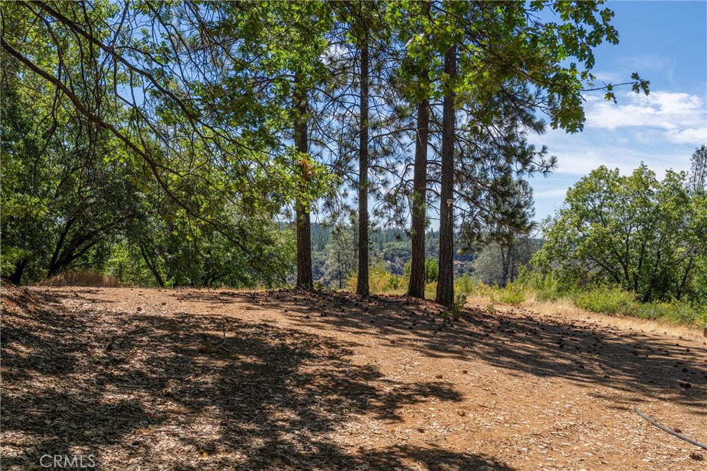 0 Knolls Drive Forest Ranch, CA 95942 - Photo 30 of 68 a view of a yard with trees
