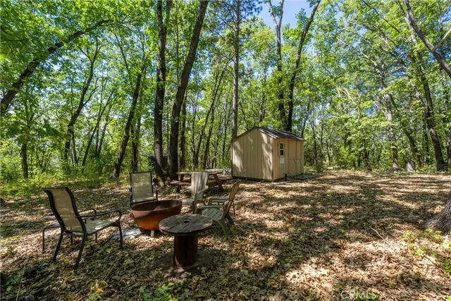 a view of a yard with plants and trees