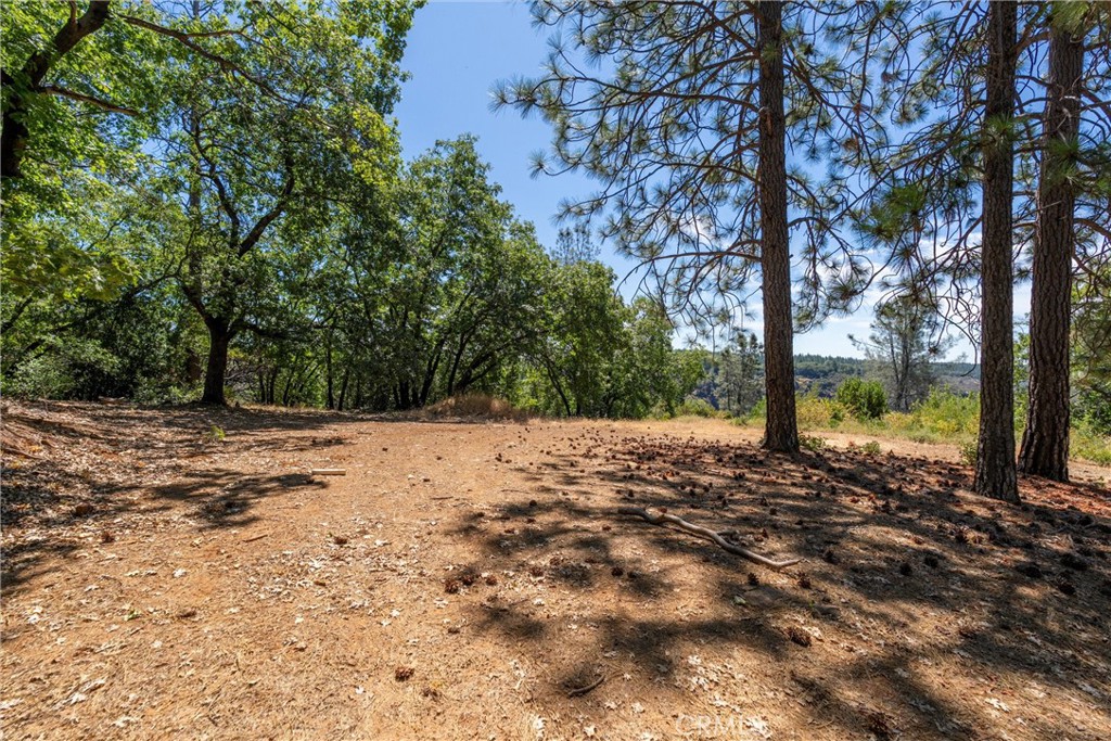 0 Knolls Drive Forest Ranch, CA 95942 - Photo 31 of 68 a view of a yard with a tree