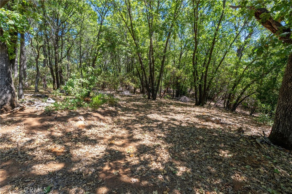0 Knolls Drive Forest Ranch, CA 95942 - Photo 33 of 68 a view of outdoor space and trees
