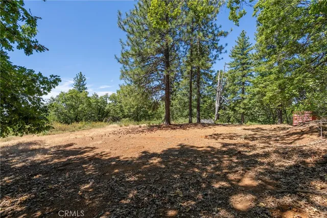 a view of dirt yard with a tree