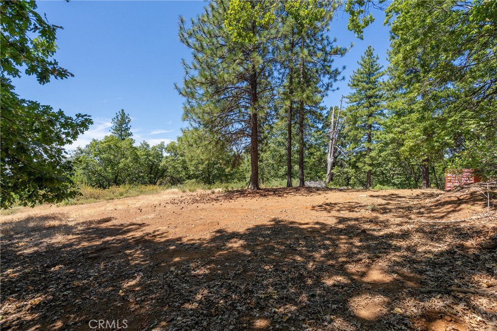 0 Knolls Drive Forest Ranch, CA 95942 - Photo 34 of 68 a view of a road with trees in the background