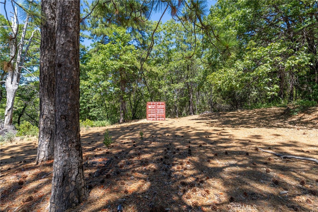 0 Knolls Drive Forest Ranch, CA 95942 - Photo 35 of 68 a street view with large trees