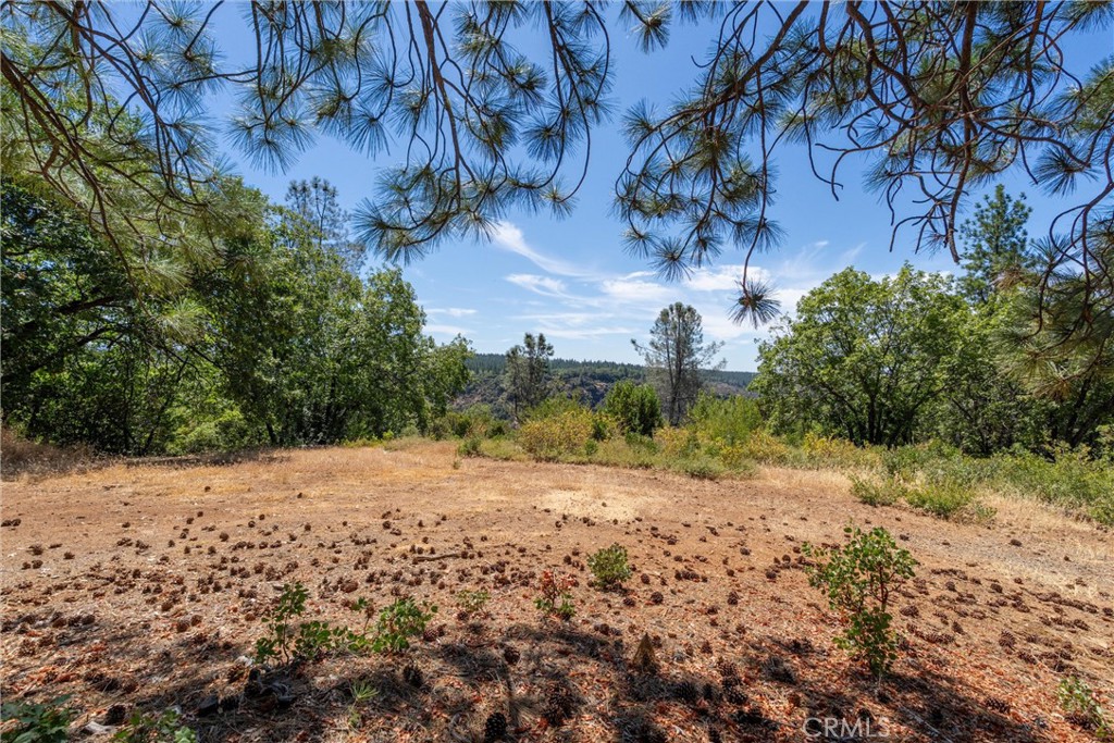 0 Knolls Drive Forest Ranch, CA 95942 - Photo 36 of 68 a view of a yard with a tree