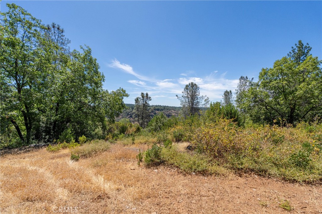 0 Knolls Drive Forest Ranch, CA 95942 - Photo 37 of 68 a view of a yard with a tree