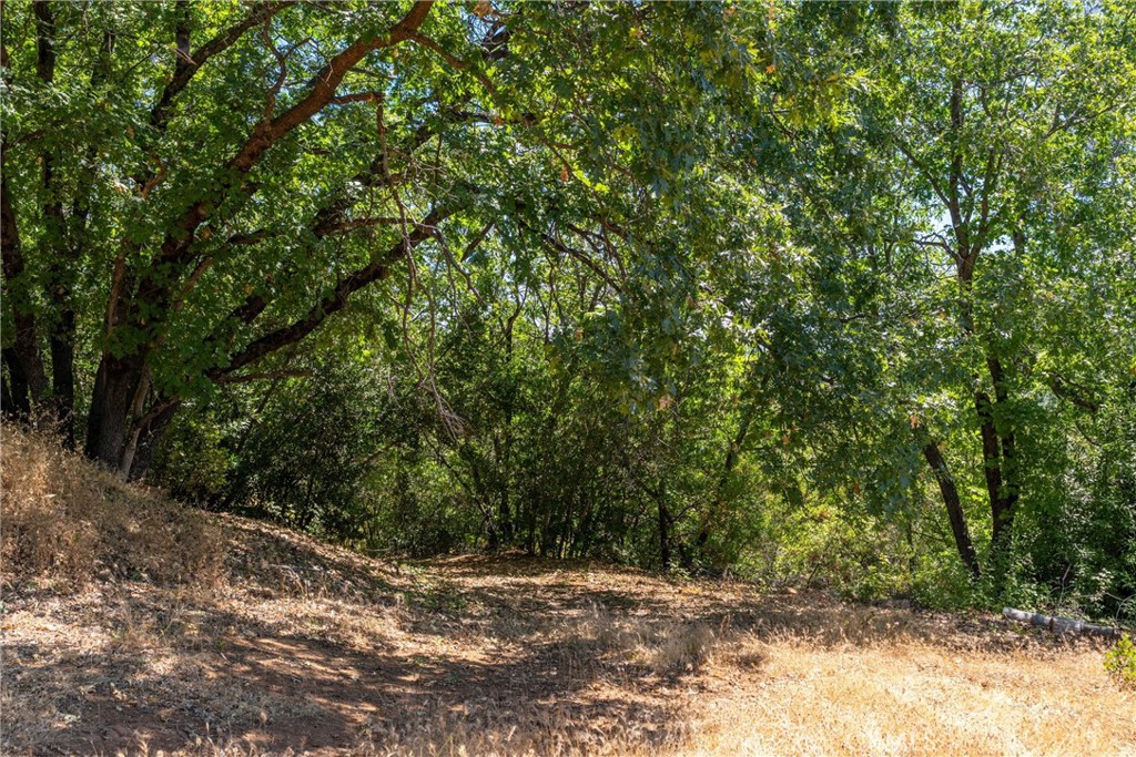 0 Knolls Drive Forest Ranch, CA 95942 - Photo 38 of 68 a view of a yard with a tree