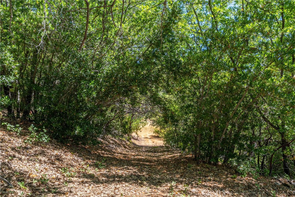 0 Knolls Drive Forest Ranch, CA 95942 - Photo 40 of 68 a backyard of a house with lots of green space