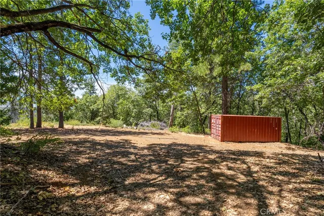 a view of a forest with trees in front of it
