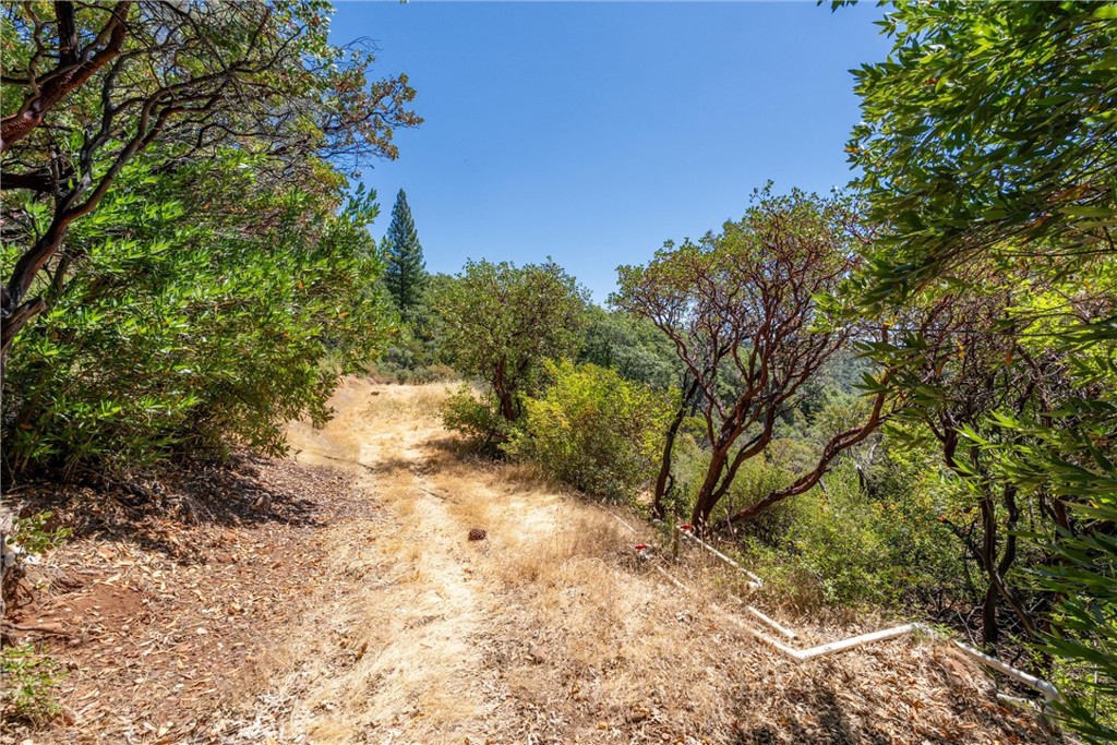 0 Knolls Drive Forest Ranch, CA 95942 - Photo 42 of 68 a view of dirt yard with a tree