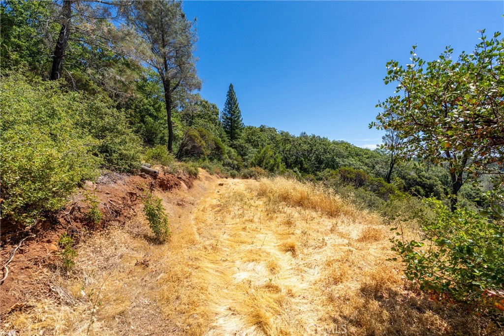 0 Knolls Drive Forest Ranch, CA 95942 - Photo 44 of 68 a view of a yard with a tree