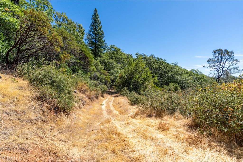 0 Knolls Drive Forest Ranch, CA 95942 - Photo 46 of 68