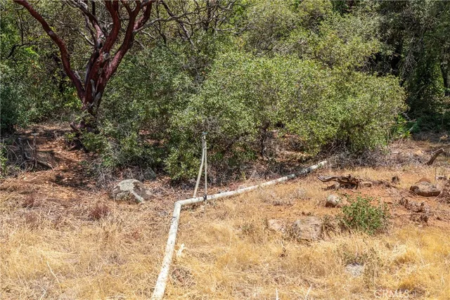 a view of road space with a trees
