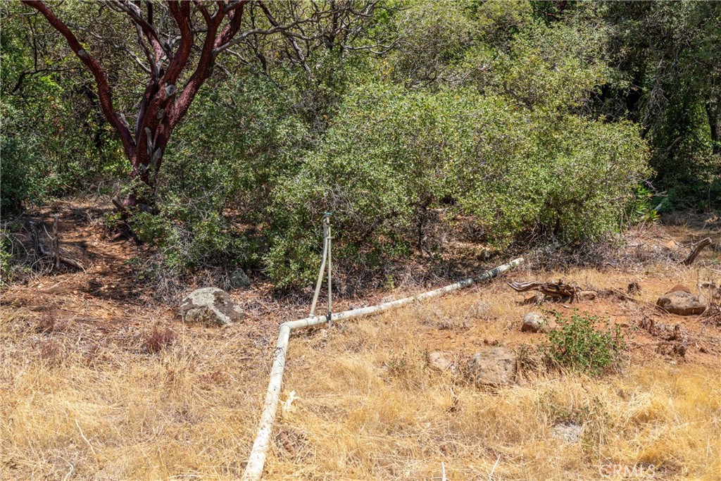0 Knolls Drive Forest Ranch, CA 95942 - Photo 47 of 68 a view of a yard with a tree
