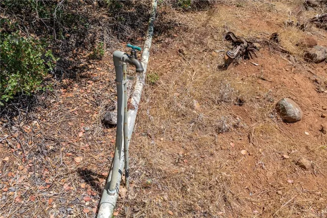 a view of a forest with a lush green forest
