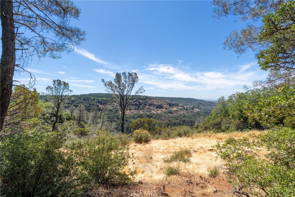 0 Knolls Drive Forest Ranch, CA 95942 - Photo 49 of 68 a view of a yard with wooden fence
