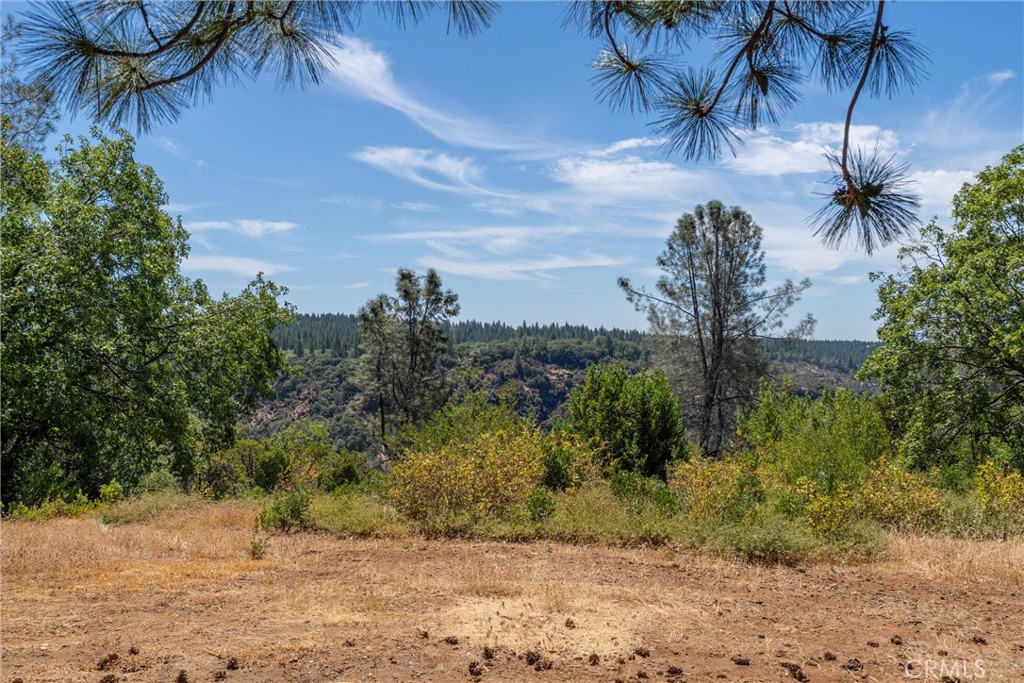 0 Knolls Drive Forest Ranch, CA 95942 - Photo 5 of 68 a view of a yard with plants and trees